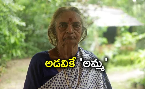 Devaki Amma was quietly planting saplings in her backyard in Alappuzha