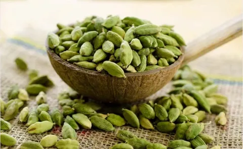 Health Tips: Health benefits of Cardamom