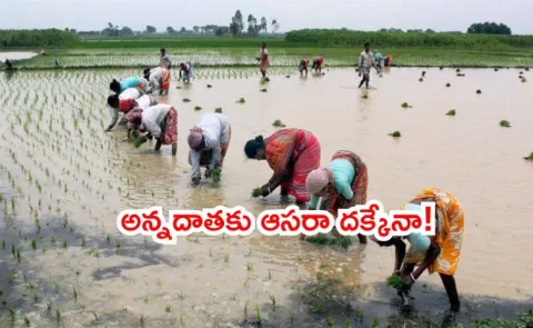 agriculture sector pressing for a major boost in farm R and D Budget 20266