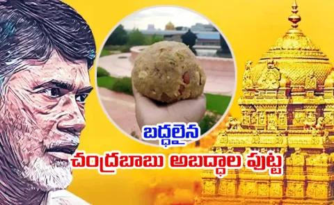 Cbi Sensational Report On Tirumala Laddu