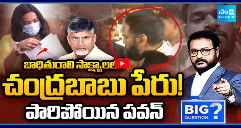 Chandrababu And Pawan Kalyan Role In MLA Arava Sridhar Controversy 1