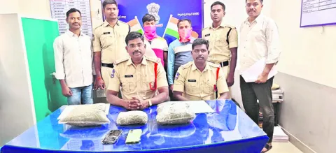 2.39 కిలోల గంజాయి పట్టివేత 
