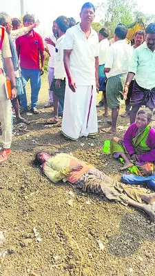 ట్రాక్టర్‌ బోల్తా బాలిక మృతి 