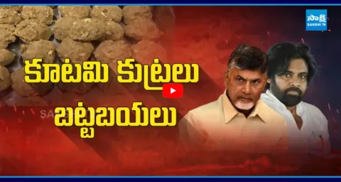 CBI Report On TTD Laddu Ghee Adulteration Case  1