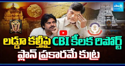 CBI Report On Tirumala Laddu Adulteration Case 1