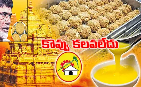 CBI confirms Ghee used in TTD laddu prasadam not contain any animal fat