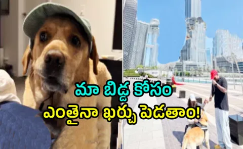 Indian Couple Spends Rs 15 lakh To Relocate Pet Dog To Australia