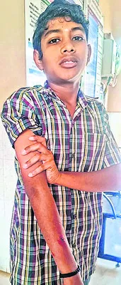 కుక్కల దాడిలో 11 మందికి గాయాలు 