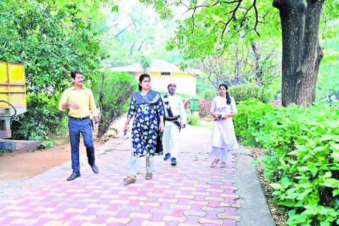 సీజనల్‌ పూలమొక్కలు నాటాలి