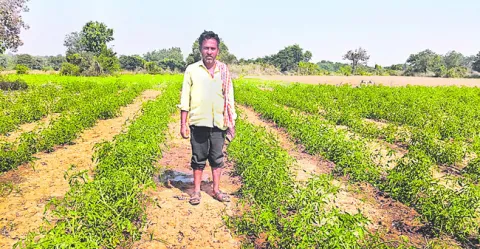 రాయితీ ఇచ్చినారు