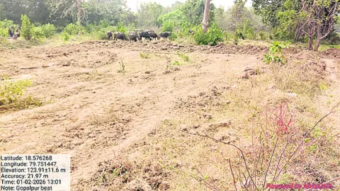 పోడు సాగు చేస్తే చర్యలు 