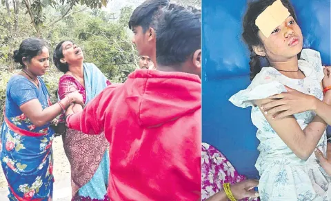 School Bus Crashes into Canal in Khammam