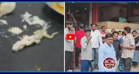 A Lizard Found In Dosa At Jagtial 1