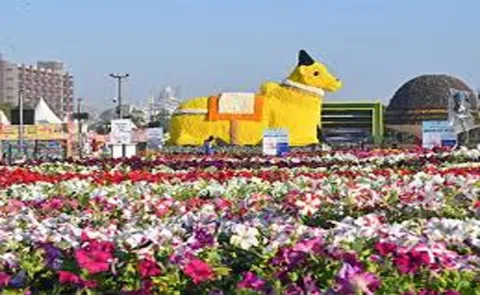 Ahmedabad International Flower Show sets two world records