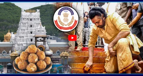 YSRCP Leaders Fire On Chandrababu And Pawan Kalyan  1