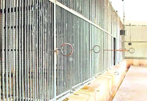 విశాఖ ఏఆర్‌సీలో  68 జంతువులు 
