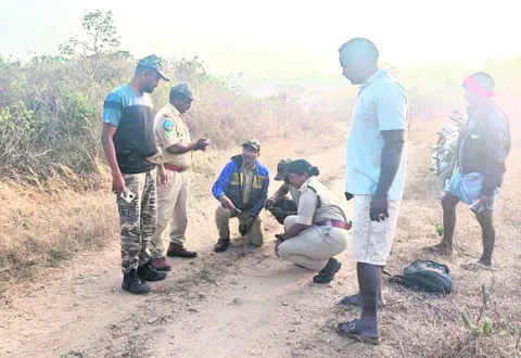 మరో మూడు గ్రామాల్లో పులి సంచారం