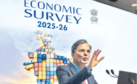 Economic Survey 2025-263