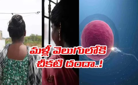 India Black Market for Human Eggs Hidden Industry Special Story