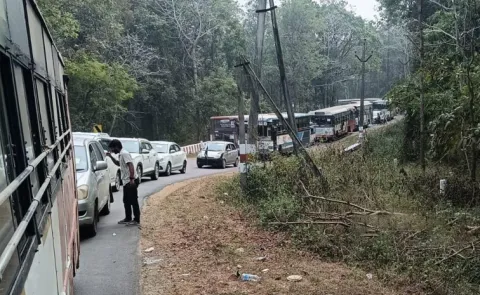 Medaram Jatara: Massive Traffic Jam On Tadvai Medaram Road