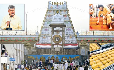 Sakshi Guest Column On Chandrababu, Pawan Kalyan Fraud about TTD Laddu