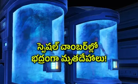 The bodies are preserved in cryogenic chambers