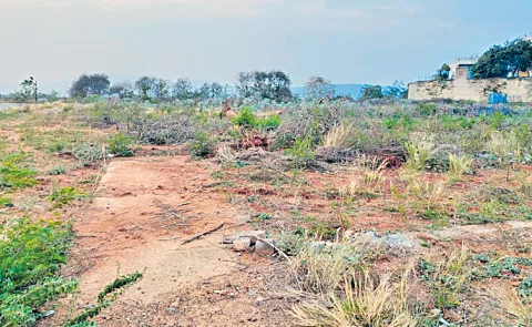 Land allocations to preferred companies indiscriminately