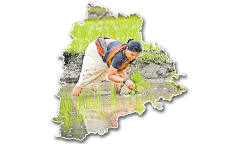 Center praised the state govts innovative schemes and achievements in the Economic Survey