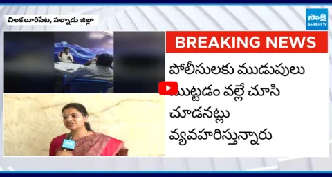 Vidadala Rajini Comments On MLA Prathipati Pullarao 1