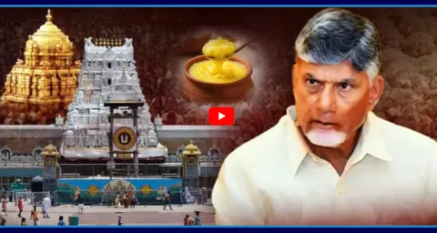 Chandrababu Govt Given Contract To Bhole Baba Dairy During 1