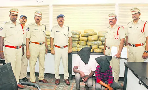 198 కిలోల గంజాయి స్వాధీనం 