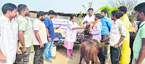 వేసవిలో మూగజీవాలు జాగ్రత్త 