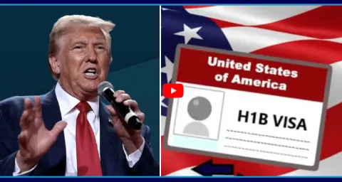 Donlad Trump Good News Indian Techies 1