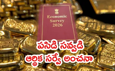 Will gold price rally continue in 2026 Economic Survey explains outlook?3