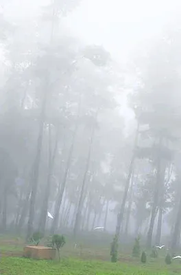 కొనసాగుతున్న చలిగాలులు