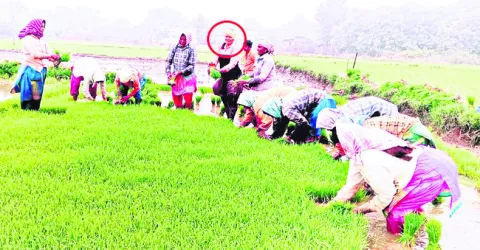 ●హోదా మారినా పని మానలేదు.. 