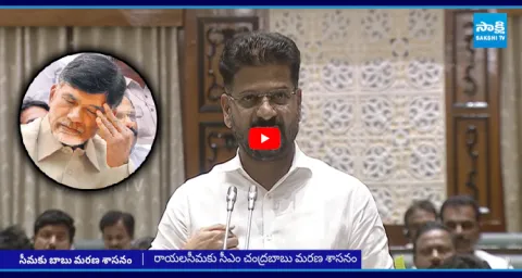 CM Revanth Reddy Exposes Chandrababu Role In Rayalaseema Lift Irrigation 2
