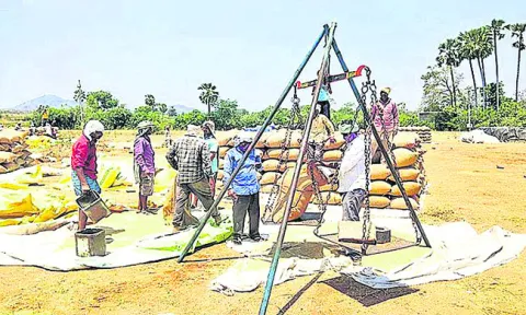 వరి.. రైతన్నకు సిరి