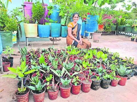 మరింత విస్తరించేందుకు కృషి  