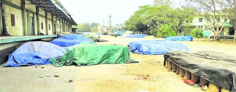 సోయా కొనుగోళ్లు అంతేనా?