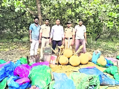సారా బట్టీలపై పోలీసుల విస్తృత దాడులు 