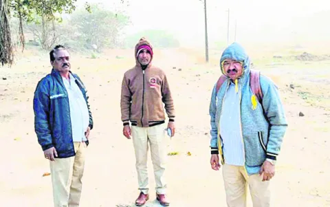 కనిపించని పులి జాడ