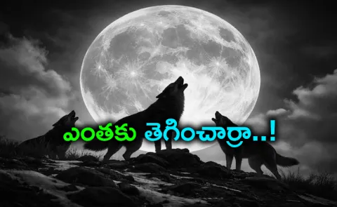 Full moon 8-month-old saved from ritual pit in nick of time plot in Bengaluru