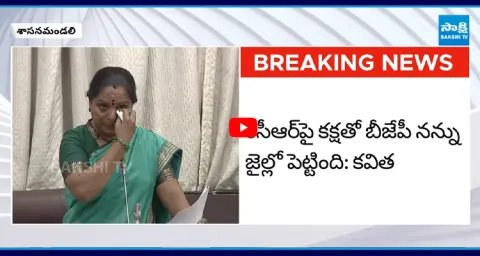  Kalvakuntla Kavitha CRYING in Telangana Legislative Council 3
