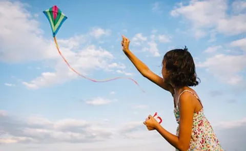 Makar Sankranti festival that signifies when Kites rule the sky12