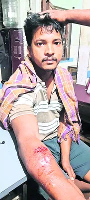 దేవరాపల్లిలో పిచ్చికుక్క స్వైర విహారం 