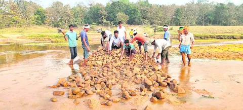 ఒక్కోరాయి పేర్చి.. రోడ్డుగా మార్చి..
