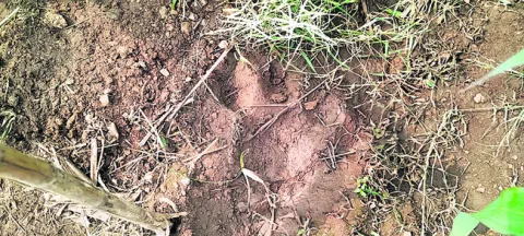 కోనరావుపేట నుంచి రుక్మాపూర్‌ వరకు 