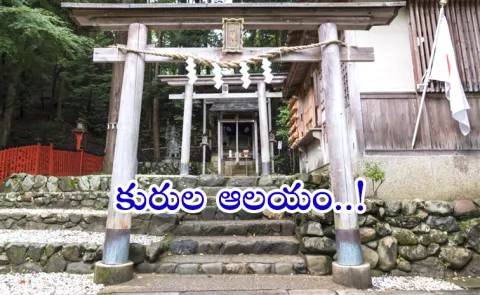 Mikami Shrine To Pray For A Hair Loss Cure14