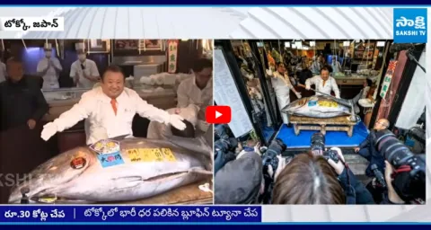 Japan Fish Auction Sees Bluefin Tuna Fetching Record 30 Crore  1